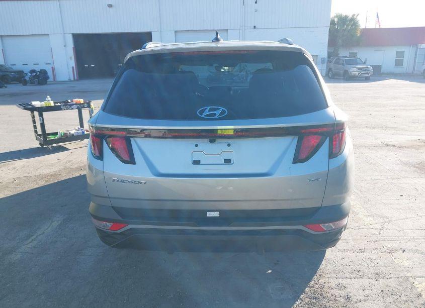 Photo 16 of 2024 Hyundai Tucson SEL (VIN 5NMJBCDE4RH324491)