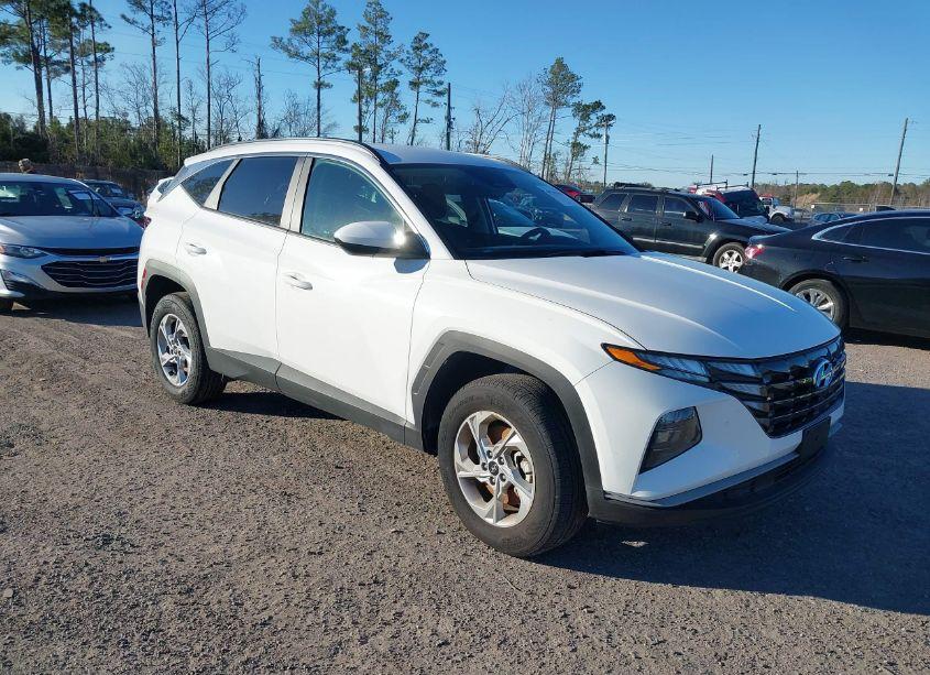 2024 Hyundai Tucson SEL (VIN 5NMJBCDE4RH327875) main photo