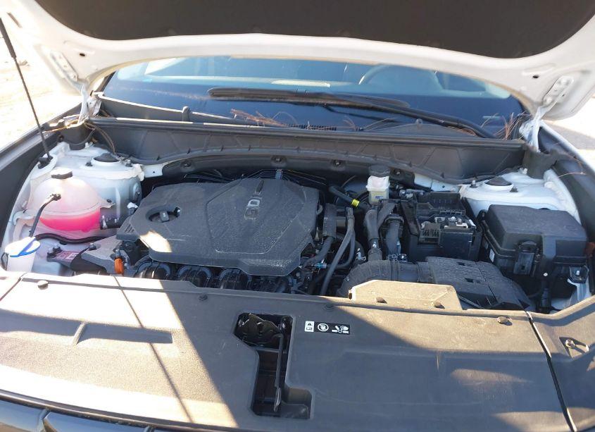 Photo 10 of 2024 Hyundai Tucson SEL (VIN 5NMJBCDE4RH327875)