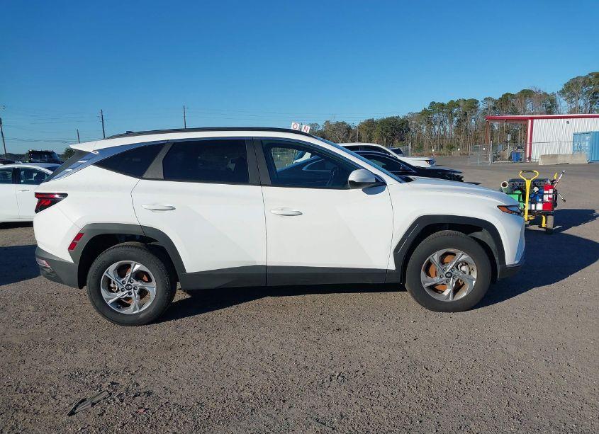 Photo 13 of 2024 Hyundai Tucson SEL (VIN 5NMJBCDE4RH327875)