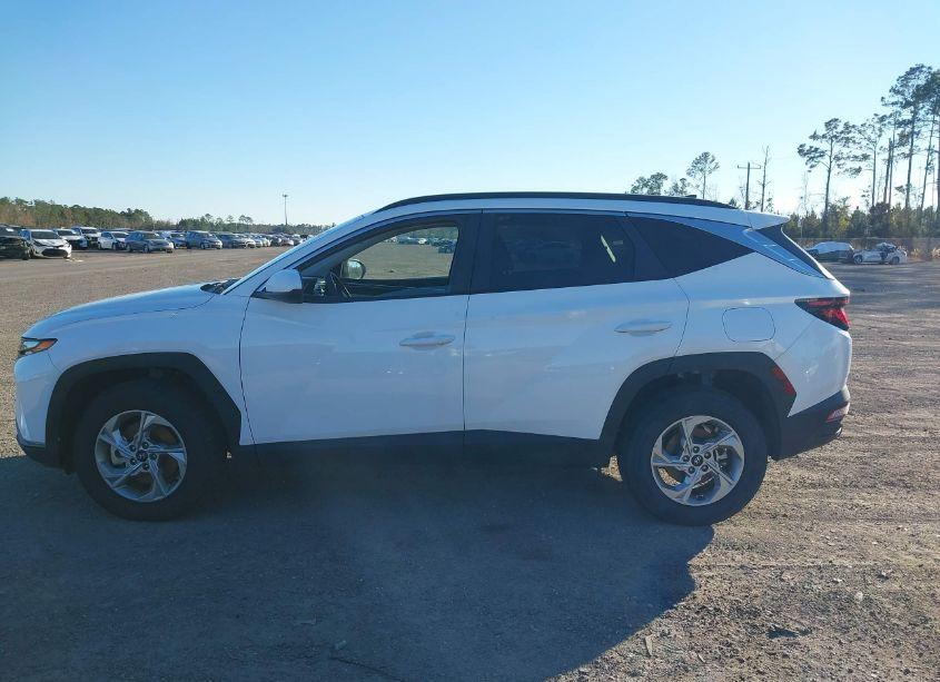 Photo 14 of 2024 Hyundai Tucson SEL (VIN 5NMJBCDE4RH327875)
