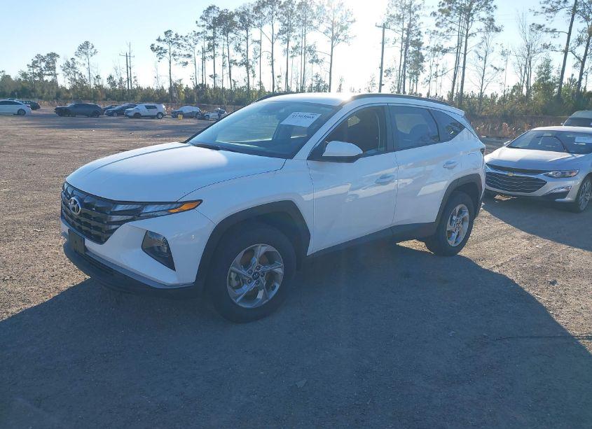 Photo 2 of 2024 Hyundai Tucson SEL (VIN 5NMJBCDE4RH327875)