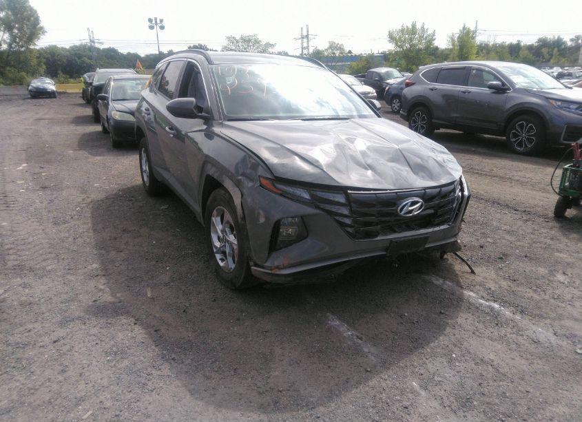 2024 Hyundai Tucson SEL (VIN 5NMJBCDE4RH332932) main photo