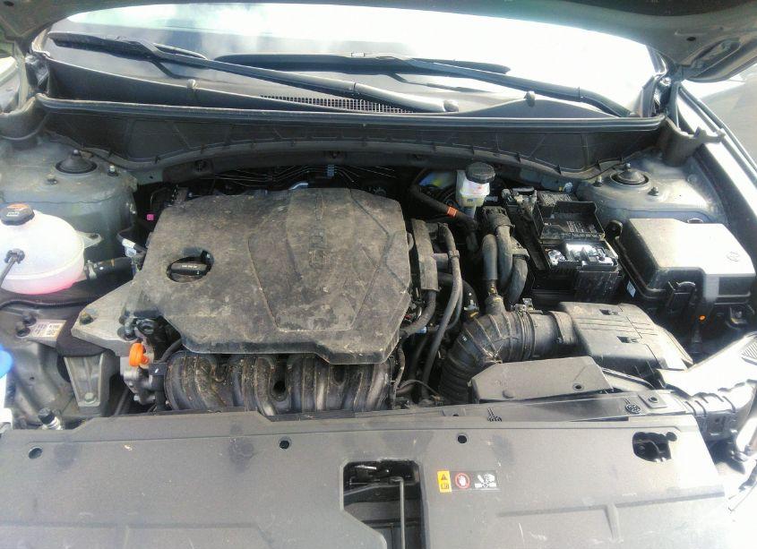 Photo 10 of 2024 Hyundai Tucson SEL (VIN 5NMJBCDE4RH332932)