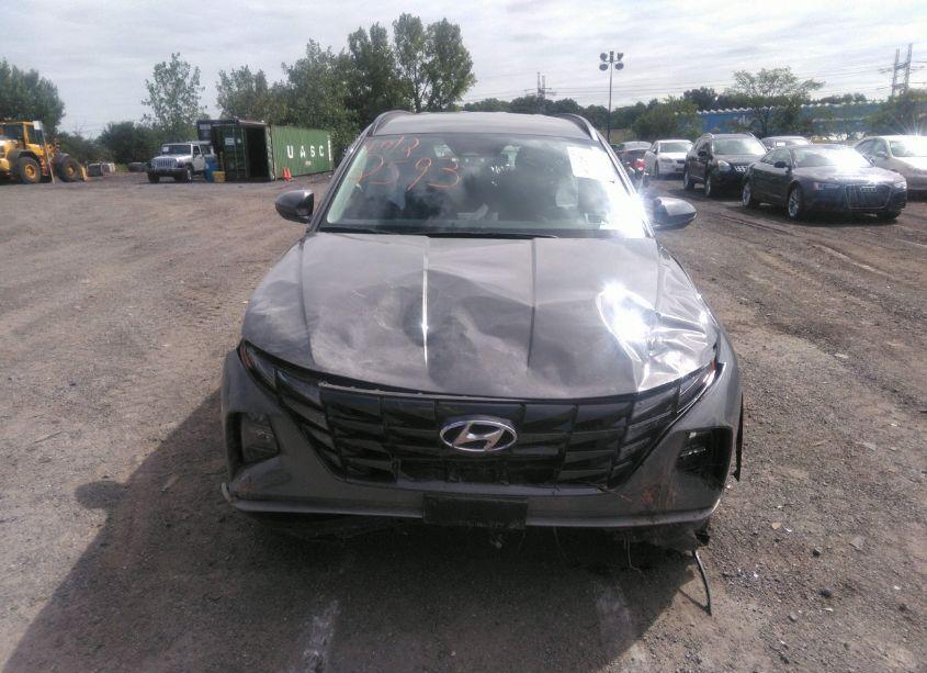 Photo 12 of 2024 Hyundai Tucson SEL (VIN 5NMJBCDE4RH332932)