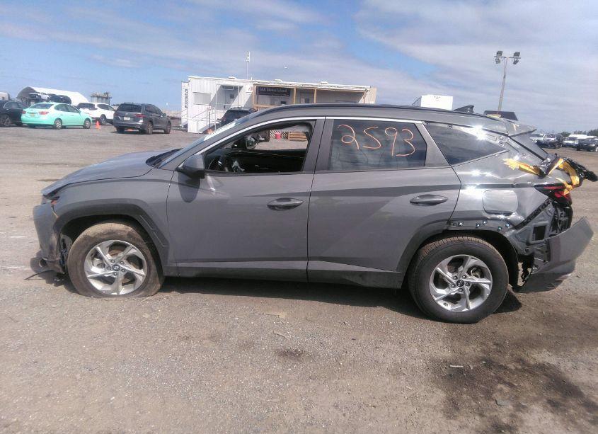 Photo 14 of 2024 Hyundai Tucson SEL (VIN 5NMJBCDE4RH332932)