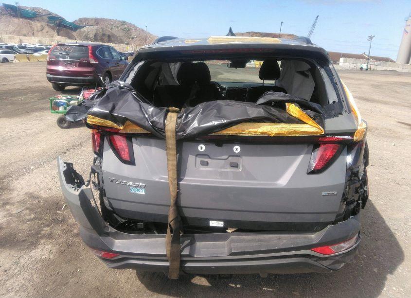 Photo 16 of 2024 Hyundai Tucson SEL (VIN 5NMJBCDE4RH332932)
