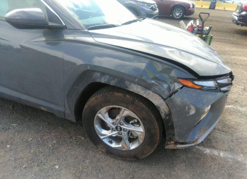 Photo 18 of 2024 Hyundai Tucson SEL (VIN 5NMJBCDE4RH332932)