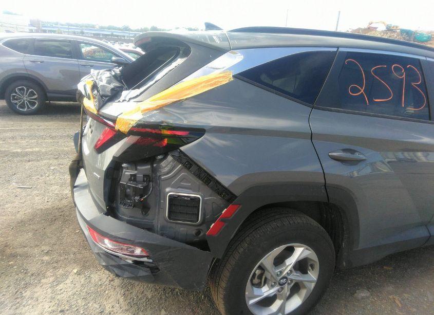 Photo 21 of 2024 Hyundai Tucson SEL (VIN 5NMJBCDE4RH332932)