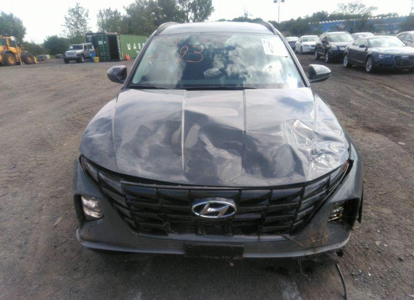 Photo 6 of 2024 Hyundai Tucson SEL (VIN 5NMJBCDE4RH332932)