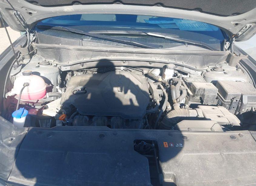 Photo 10 of 2024 Hyundai Tucson SEL (VIN 5NMJBCDE4RH346054)