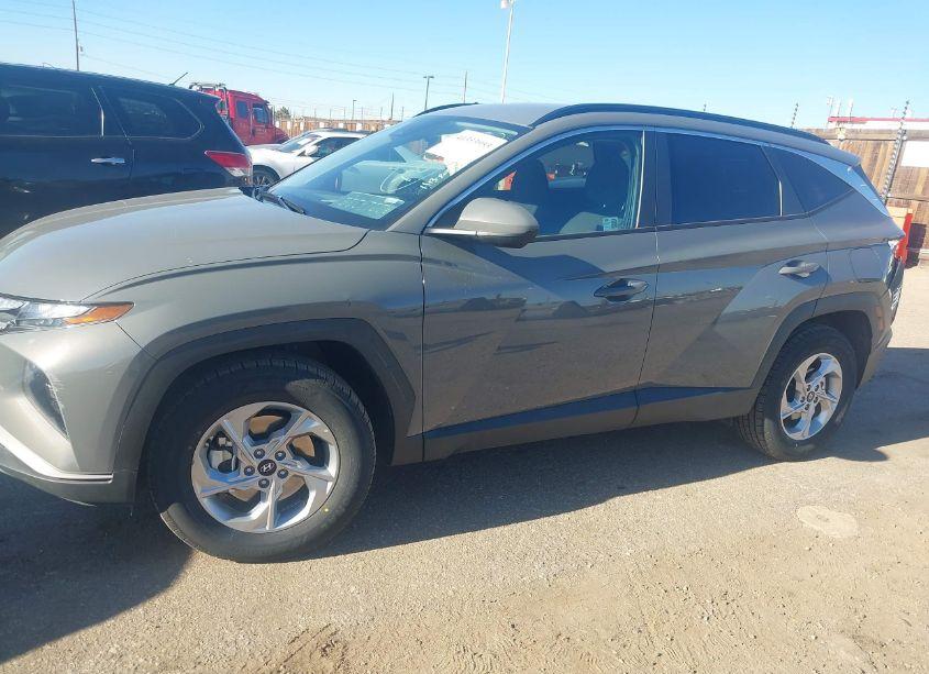 Photo 14 of 2024 Hyundai Tucson SEL (VIN 5NMJBCDE4RH346054)