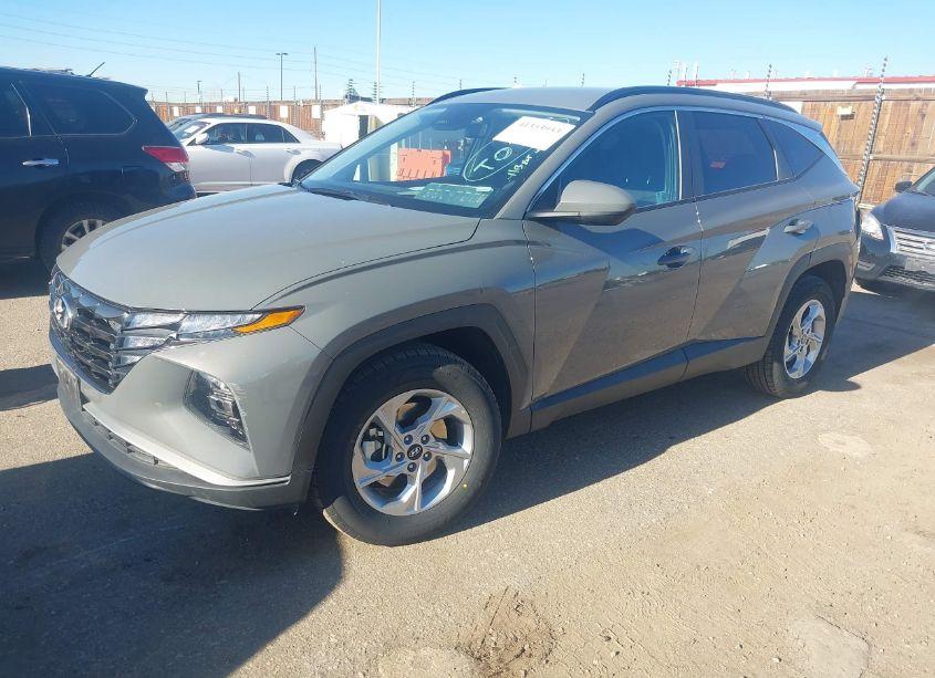 Photo 2 of 2024 Hyundai Tucson SEL (VIN 5NMJBCDE4RH346054)