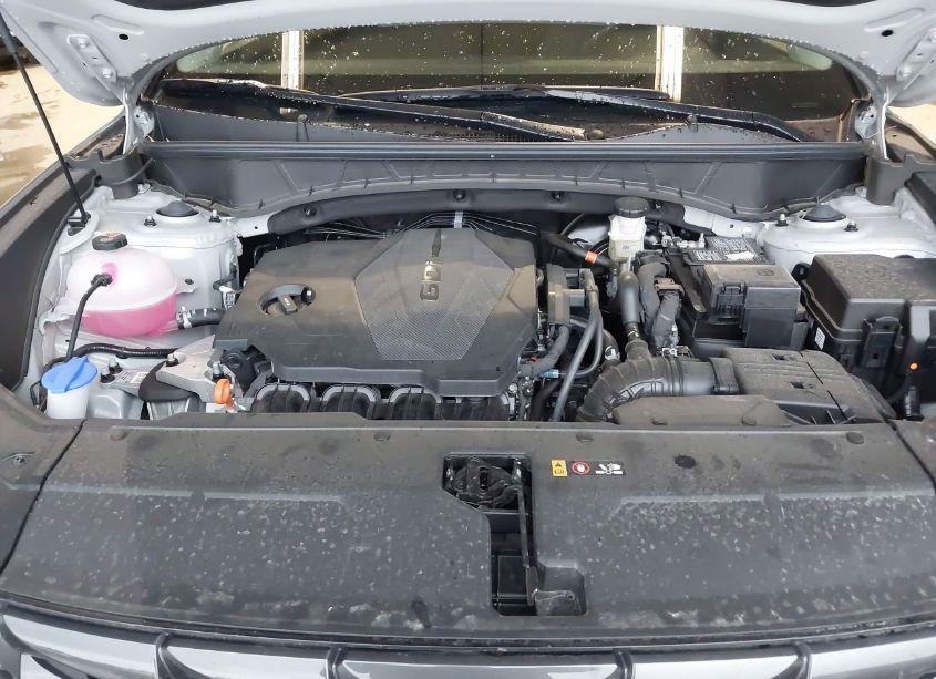 Photo 10 of 2024 Hyundai Tucson SEL (VIN 5NMJBCDE4RH349195)