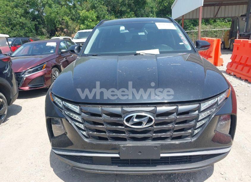 Photo 12 of 2024 Hyundai Tucson SEL (VIN 5NMJBCDE4RH354185)