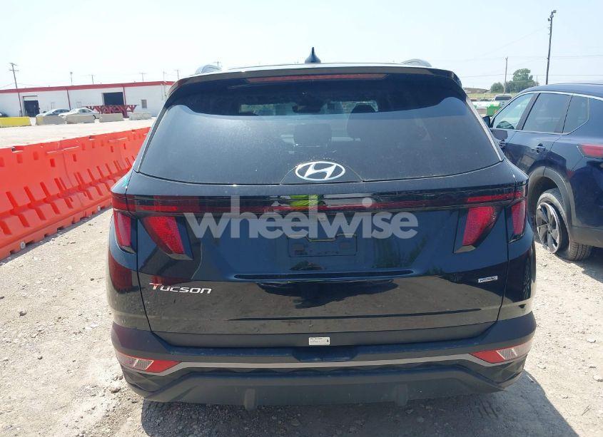 Photo 16 of 2024 Hyundai Tucson SEL (VIN 5NMJBCDE4RH354185)
