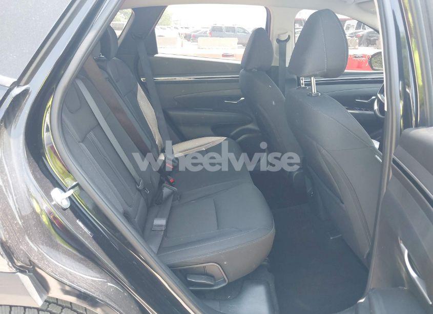Photo 8 of 2024 Hyundai Tucson SEL (VIN 5NMJBCDE4RH354185)