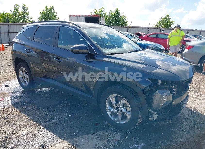 2024 Hyundai Tucson SEL (VIN 5NMJBCDE4RH354266) main photo