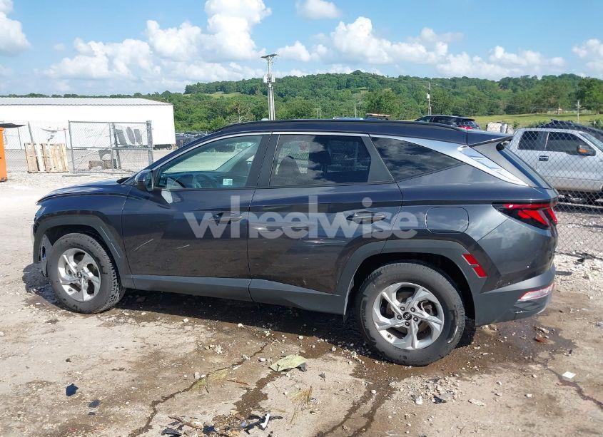 Photo 15 of 2024 Hyundai Tucson SEL (VIN 5NMJBCDE4RH354266)
