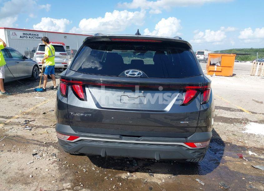 Photo 17 of 2024 Hyundai Tucson SEL (VIN 5NMJBCDE4RH354266)
