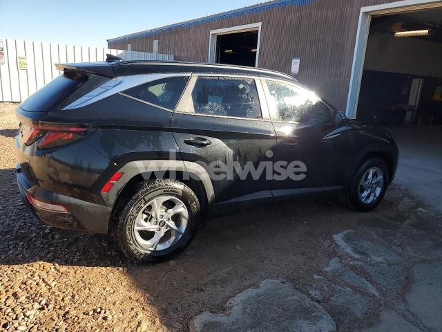 2024 HYUNDAI TUCSON SEL (VIN 5NMJBCDE4RH394816) main photo