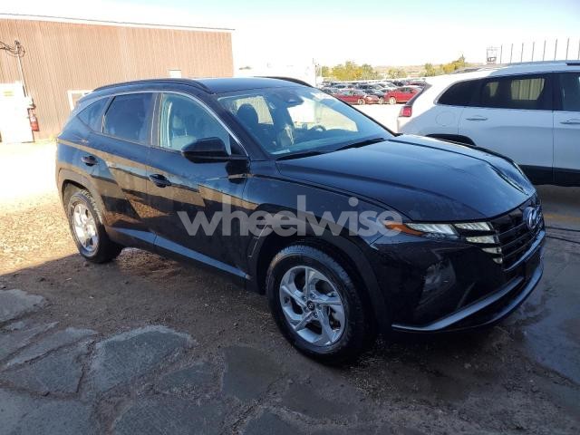 Photo 11 of 2024 HYUNDAI TUCSON SEL (VIN 5NMJBCDE4RH394816)