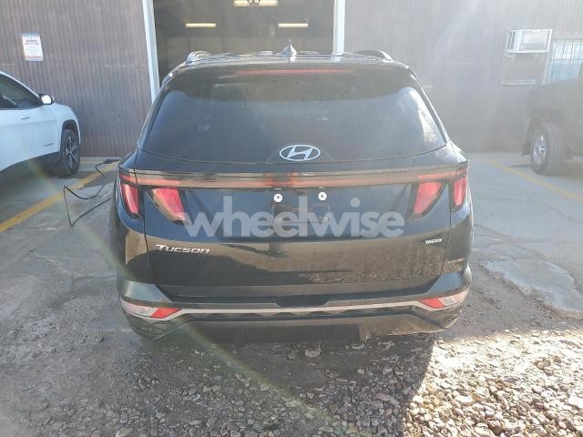 Photo 12 of 2024 HYUNDAI TUCSON SEL (VIN 5NMJBCDE4RH394816)