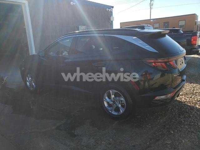 Photo 14 of 2024 HYUNDAI TUCSON SEL (VIN 5NMJBCDE4RH394816)