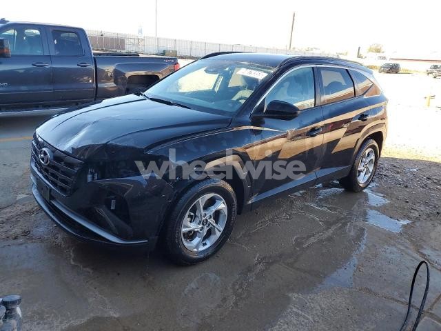 Photo 5 of 2024 HYUNDAI TUCSON SEL (VIN 5NMJBCDE4RH394816)
