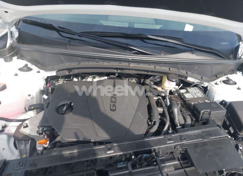 Photo 10 of 2025 Hyundai Tucson SEL (VIN 5NMJBCDE4SH513695)
