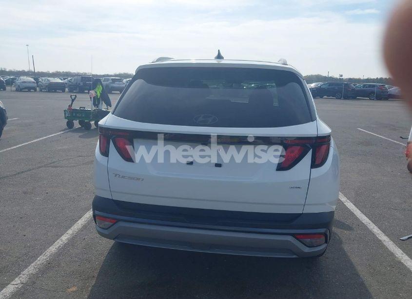 Photo 17 of 2025 Hyundai Tucson SEL (VIN 5NMJBCDE4SH513695)