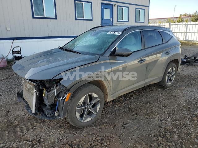 Photo 11 of 2025 HYUNDAI TUCSON SEL (VIN 5NMJBCDE4SH566123)