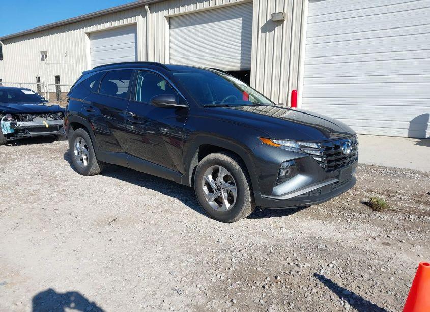 2024 Hyundai Tucson SEL (VIN 5NMJBCDE5RH317758) main photo