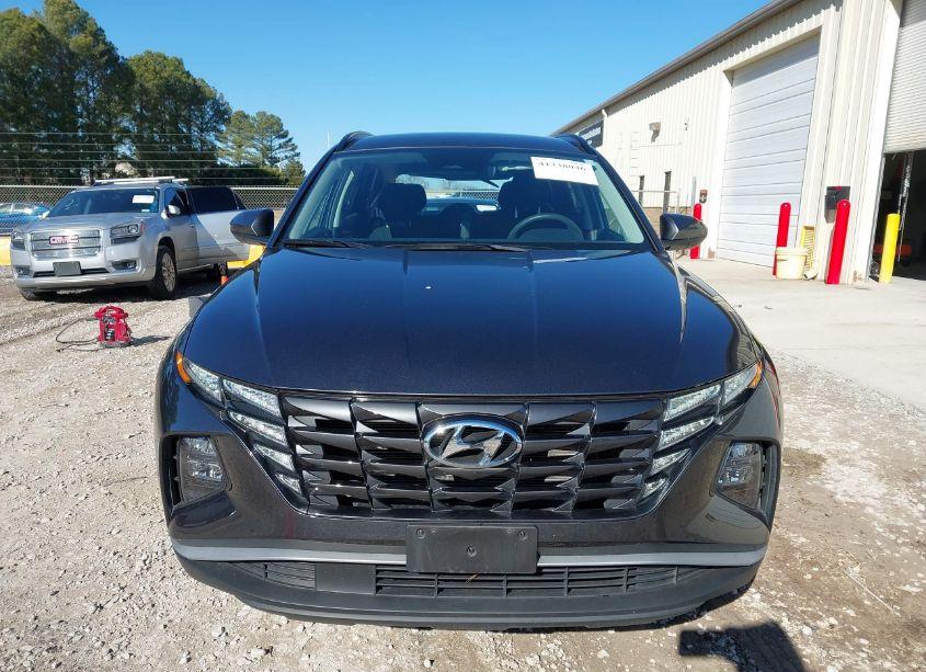 Photo 13 of 2024 Hyundai Tucson SEL (VIN 5NMJBCDE5RH317758)