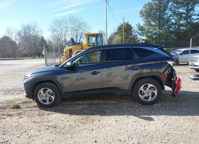 Photo 15 of 2024 Hyundai Tucson SEL (VIN 5NMJBCDE5RH317758)