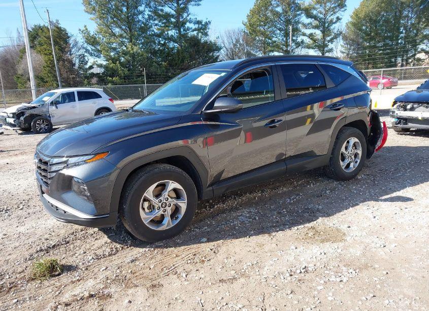 Photo 2 of 2024 Hyundai Tucson SEL (VIN 5NMJBCDE5RH317758)