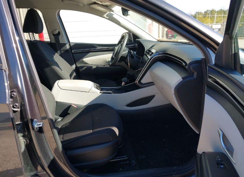 Photo 5 of 2024 Hyundai Tucson SEL (VIN 5NMJBCDE5RH317758)