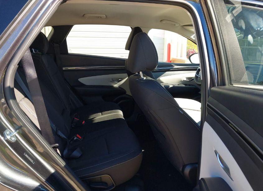 Photo 8 of 2024 Hyundai Tucson SEL (VIN 5NMJBCDE5RH317758)