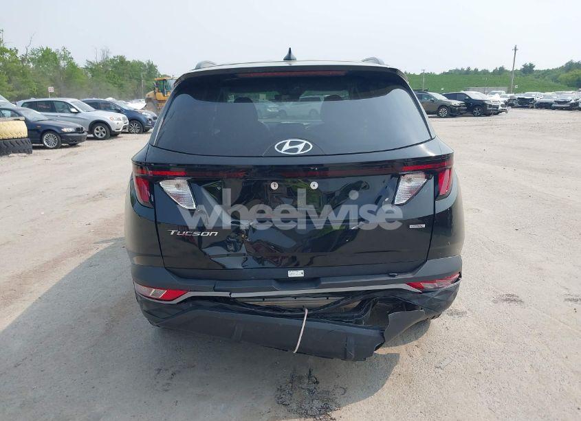 Photo 16 of 2024 Hyundai Tucson SEL (VIN 5NMJBCDE5RH353790)