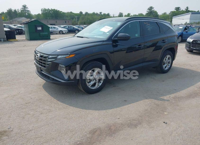 Photo 2 of 2024 Hyundai Tucson SEL (VIN 5NMJBCDE5RH353790)