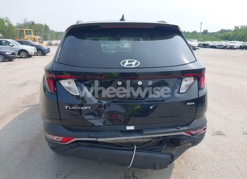 Photo 6 of 2024 Hyundai Tucson SEL (VIN 5NMJBCDE5RH353790)