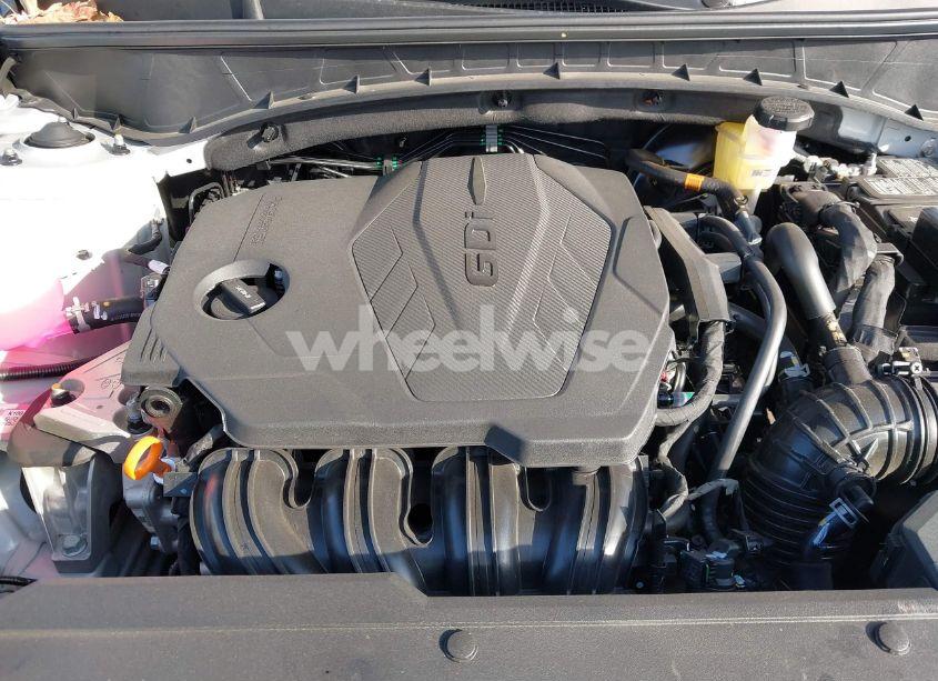 Photo 10 of 2024 Hyundai Tucson SEL (VIN 5NMJBCDE5RH419318)