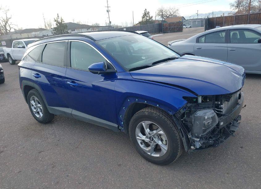 2024 Hyundai Tucson SEL (VIN 5NMJBCDE6RH317168) main photo