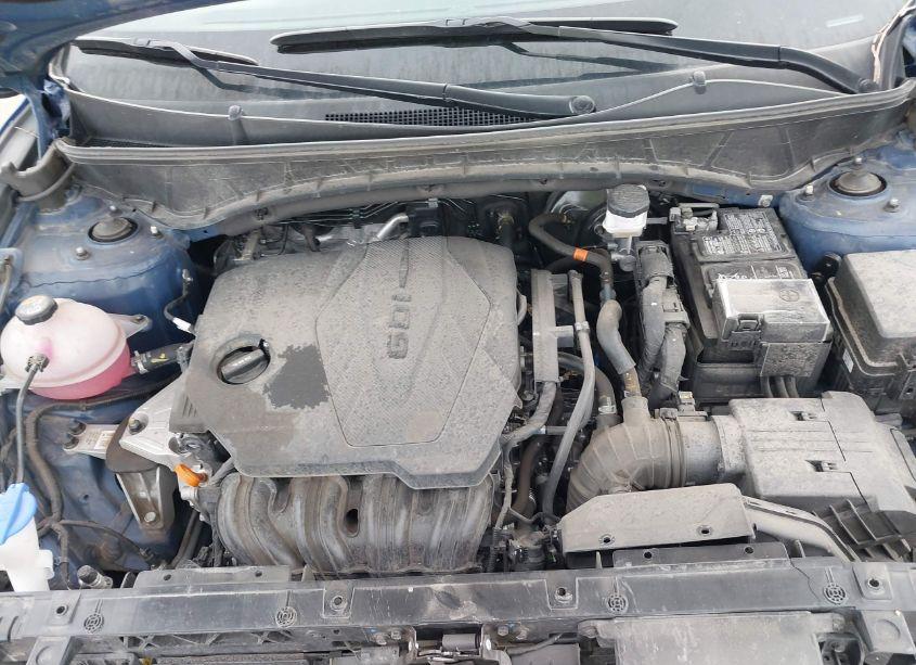 Photo 10 of 2024 Hyundai Tucson SEL (VIN 5NMJBCDE6RH317168)