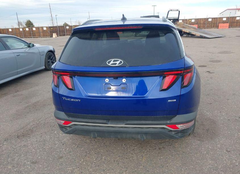 Photo 16 of 2024 Hyundai Tucson SEL (VIN 5NMJBCDE6RH317168)