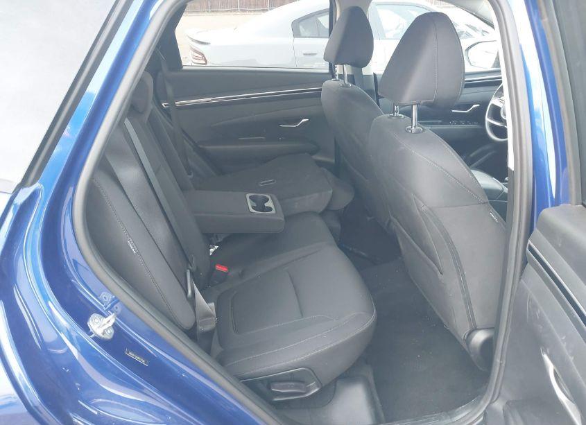 Photo 8 of 2024 Hyundai Tucson SEL (VIN 5NMJBCDE6RH317168)