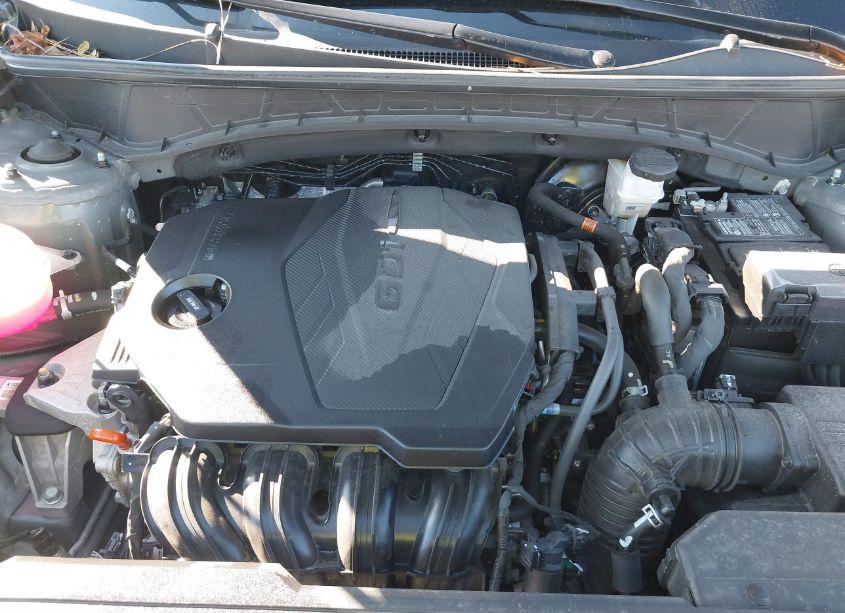 Photo 10 of 2024 Hyundai Tucson SEL (VIN 5NMJBCDE6RH330079)