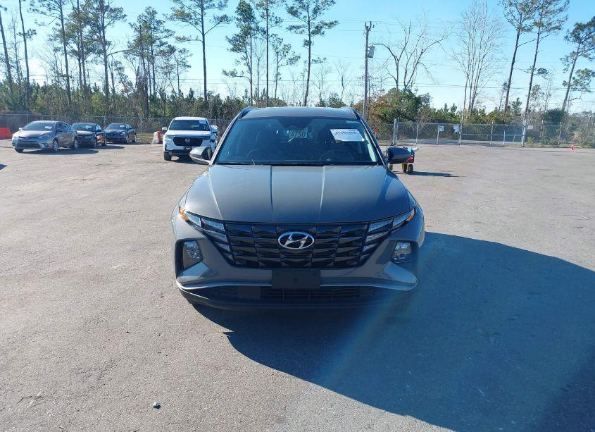 Photo 12 of 2024 Hyundai Tucson SEL (VIN 5NMJBCDE6RH330079)