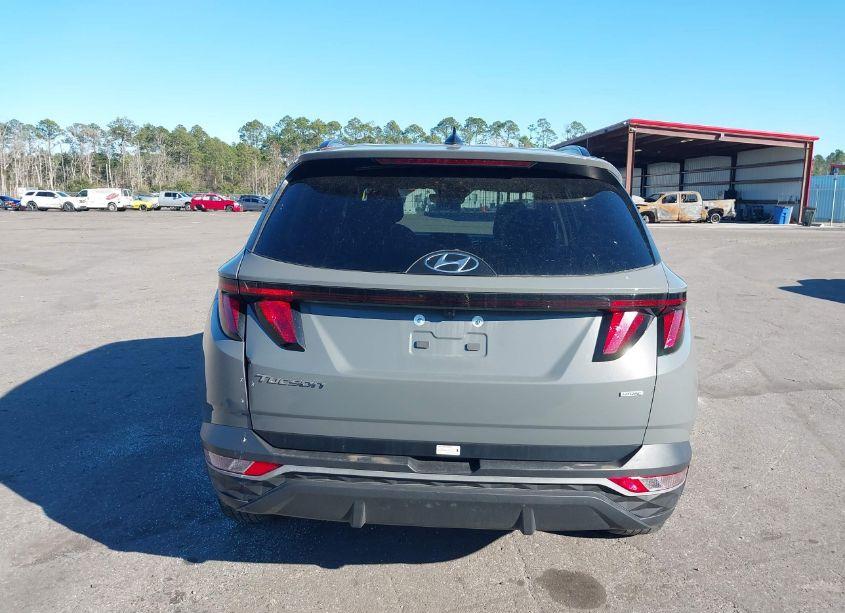 Photo 16 of 2024 Hyundai Tucson SEL (VIN 5NMJBCDE6RH330079)
