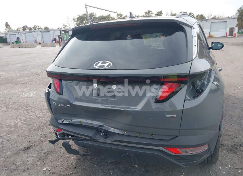 Photo 16 of 2024 Hyundai Tucson SEL (VIN 5NMJBCDE6RH335167)